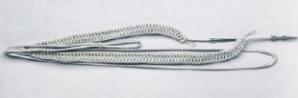 5702 Eksempler p� aiguilletter.
