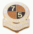 Cloisonne Pins