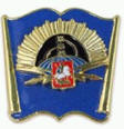 Cloisonne Pins
