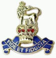 Cloisonne Pins