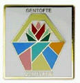 Soft cloisonne
