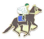 Soft cloisonne - som pins
