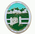 Iron soft enamel pins