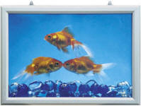 SLIDE-IN FRAME HORIZONTAL. 25 mm. s�lveloxeret