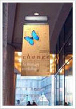 LED Light Box