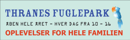 Eksempel p fuldfarvet streamers printet, inclusive applikationstape: F. eks. i en lngde 50 cm. x hjde 25 cm.