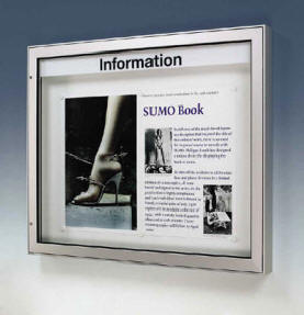 Klassik 60 mm Display TN/TR Vejr- og h�rv�rksbetandig aluminium udh�ngsskab for indend�rs eller udend�rs brug. 