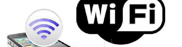 Netværk - med eller uden gæstezone.