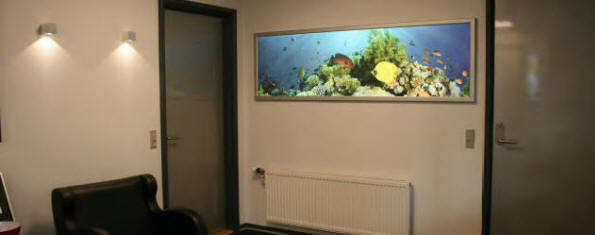 LED Panel 12V DC • 50.000 timer • IP:20 • Ra: 90+