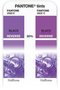 PANTONE Plus Tints