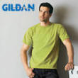 Gildan t-shirt