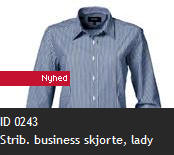 ID 0243 Strib. business skjorte, lady