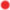 chinared