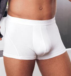 Hanes underwear - Mens`s Boxer