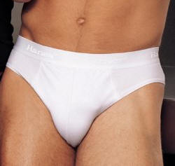 Hanes underwear - Mens`s Brief