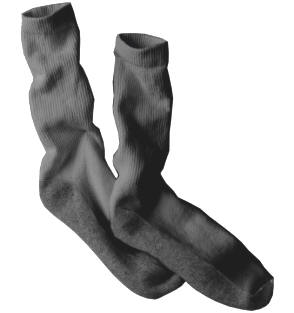 Hanes Socks