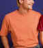 Hanes� - HANES BODY FIT T-SHIRTS - - Shirt and suit for everybody. Hanes� - HANES BODY FIT T-SHIRTS for everybody: Beauty Baseball, Beauty Boat Nech, Beauty Top, Beauty Mock Turtle, Beauty V-neck, Beauty Ringer, Beauty Polo