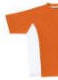 Pro-Dry T-shirt.