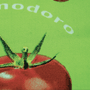 TOMATO