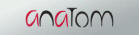 anatom – Combines maximum safety and best wearing