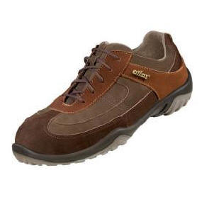 SN 10 brown S2