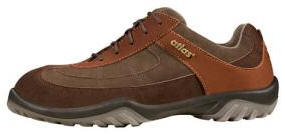 SN 10 brown S2