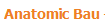 Anatomic Bau