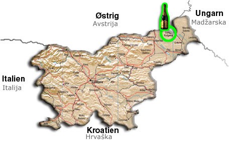 Slovenien - Vinland i udvikling.