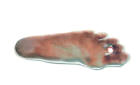 Design Deres egen hangere og refleksmrker!