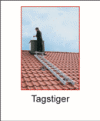 Tagstiger