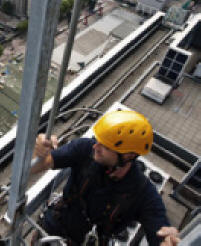 SKALT er blevet etableret af specialister