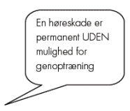 Det er en misforståelse, at man skulle kunne vænne sig til støj