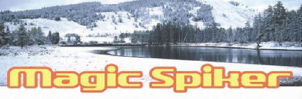 Magic Spiker er for alle der g�r. G� sikkert - Enkel montering - Naturlig gang - Optager minimal plads - Reducer skader og ansvar - Sikker gang i sne, i, p� v�dt gr�s og uj�vnt terr�n - kort sagt - mest for pengene!