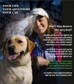 Dog Walking Flyer - hent den her
